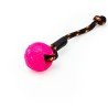 Moby Dog Ball