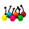Moby Dog Ball