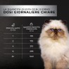 Wusto Functional Anti Hairball Tonno e Salmone - Gatto 85g